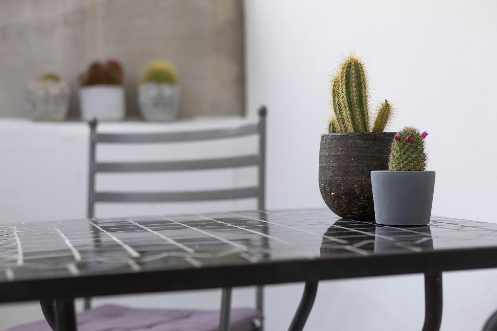Apartment Noa